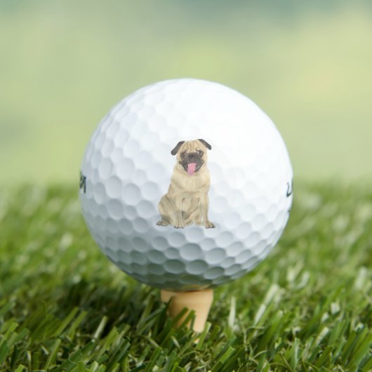 Persoonlijke Pug Golfballen (Insitu Shirt)