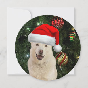 Persoonlijke Ronde Kerstman Poes Husky Kerstmis Feestdagenkaart