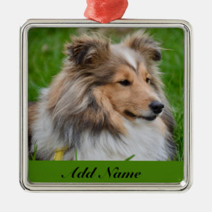 Persoonlijke Shetland Sheepdog - Sheltie Hond Metalen Ornament