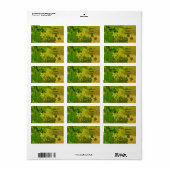 Persoonlijke St. Patrick's Day Shamrock Etiket (Full Sheet)