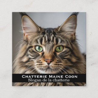 Persoonlijke visitekaart voor Maine Coon fokkerij Vierkante Visitekaartje