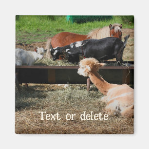 Persoonlijke vrienden van boerderijdieren magneet