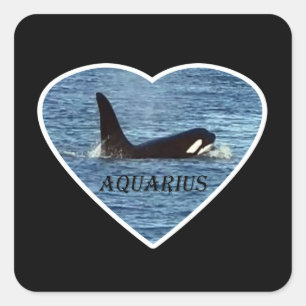 Persoonlijke Waterman Orka Walvis Aanpasbaar Vierkante Sticker