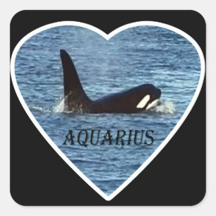 Persoonlijke Waterman Westkust Gemeenschap Walvis Vierkante Sticker