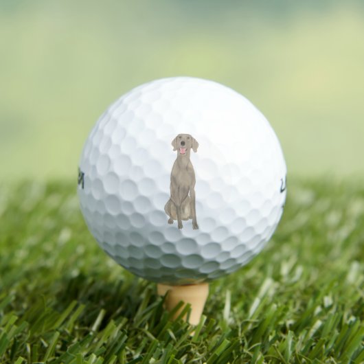 Persoonlijke weimaraner golfballen (Insitu Shirt)