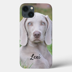 Persoonlijke Weimaraner Pupp Hond iPhone 13 Hoesje