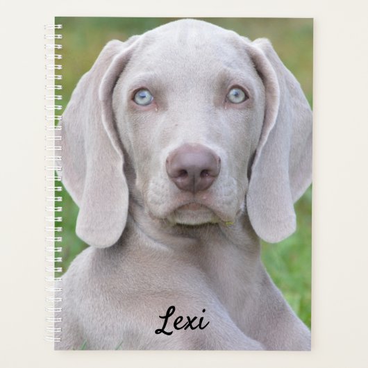Persoonlijke weimaraner Puppy Dog Planner (Voorkant)