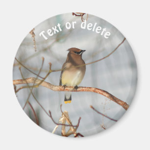 Persoonlijke Winter Pestvogel Wilde Natuur Magneet