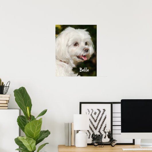 Persoonlijke witte Maltese puppy Dog Poster (Thuiskantoor)