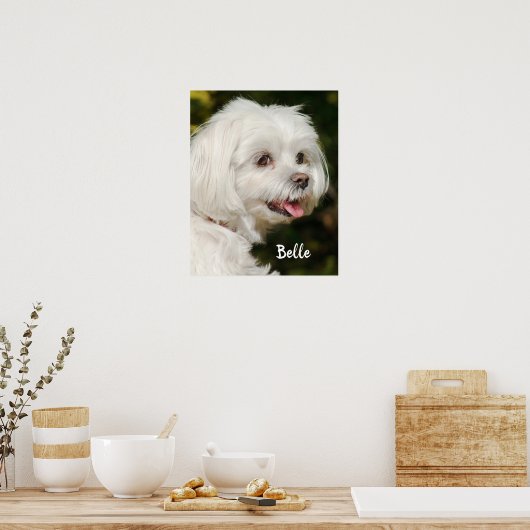 Persoonlijke witte Maltese puppy Dog Poster (Keuken)