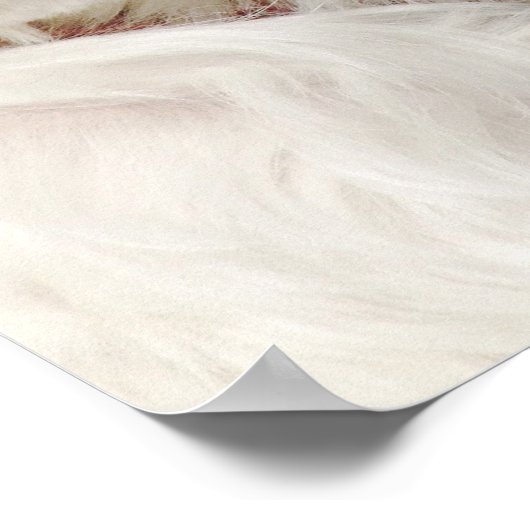 Persoonlijke witte Maltese puppy Dog Poster (Hoek)