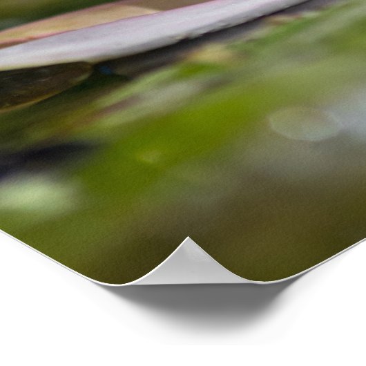 Persoonsbloem (lib) poster (Hoek)