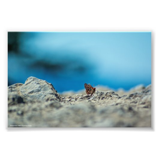 Perspectief Foto Afdruk (Voorkant)