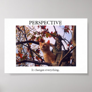 Perspectief Poster