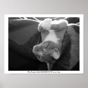 Perspectief Poster