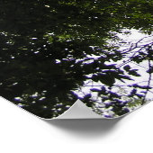 Perspectief - Woodland Foto Poster (Hoek)