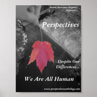Perspectieven Poster