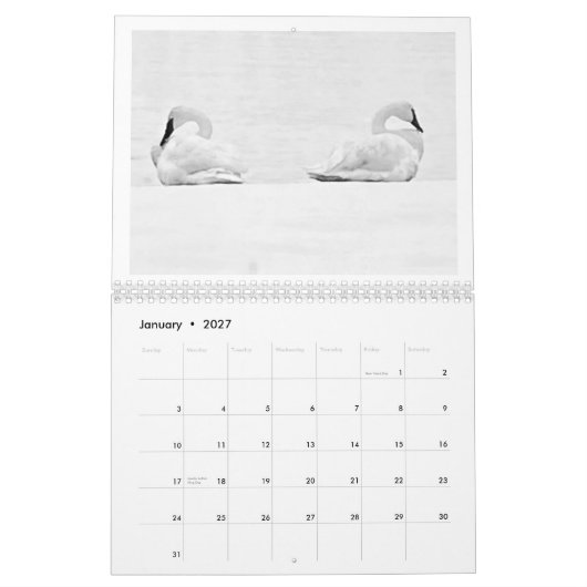 Perspectives de la nature - Calendrier mural 2026 (Jan 2027)