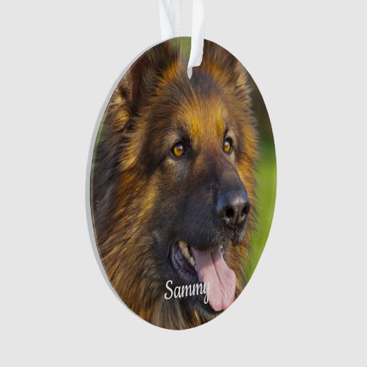 Perte d'animal de compagnie Rainbow Bridge Animal  (devant)