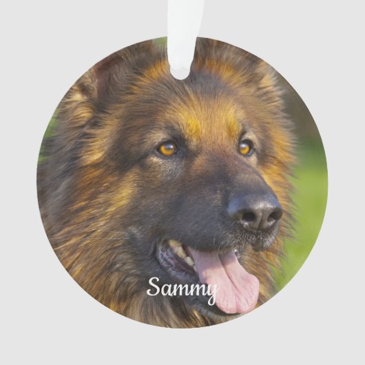 Perte d'animal de compagnie Rainbow Bridge Animal  (devant)