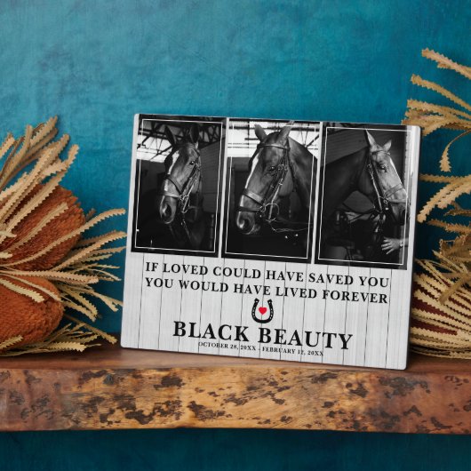 Perte de cheval de compagnie | Plaque mémorielle a (Côté)