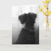 Perte de la carte de sympathie de chien (Fleur jaune)