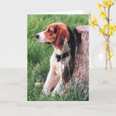 Perte de la carte de sympathie du Beagle (Fleur jaune)