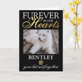 Perte de la carte de sympathie pour animaux de com (Fleur jaune)