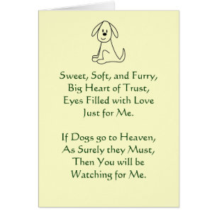 Perte de la sympathie du chien