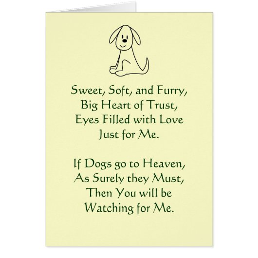 Perte de la sympathie du chien (Devant)