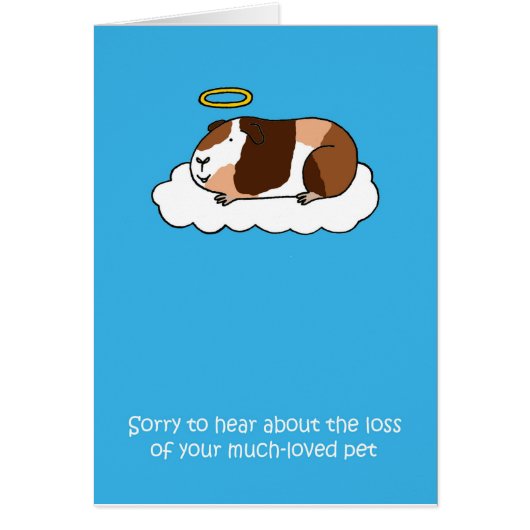 Perte de la sympathie du cochon de Guinée animal (Devant)