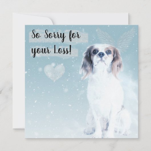 Perte d'une carte de chien d'animal de compagnie (Devant)