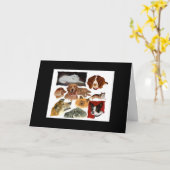 Perte d'une carte de sympathie pour chien de compa (Fleur jaune)