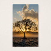 Perte funéraire arbre solitaire prière Cartes de s (Devant)