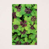 Perte funéraire Clover Memorial Prière Sympathy Ca (Devant)