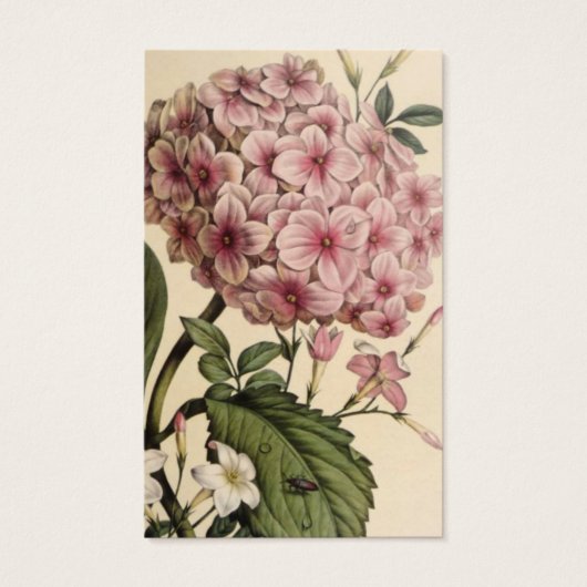 Perte funéraire Pink Hydrangea Prière Cartes de Sy (Devant)