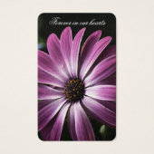 Perte funéraire Purple Daisy Prière Cartes de Symp (Devant)