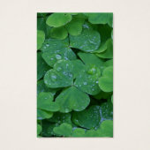 Perte funéraire Shamrock prière Cartes de sympathi (Devant)