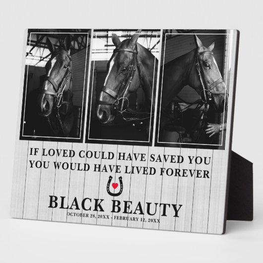 Pertes de cheval de compagnie | Plaque commémorati (Côté)