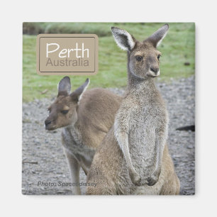 Perth Australia Kangaroo Travel Fridge Magnets Magneet