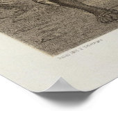 Peru 35 poster (Hoek)