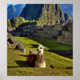 Peru, Andes, Andesgebergte, Machu Picchu Poster