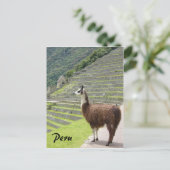 peru llama briefkaart (Staand voorkant)