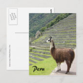 peru llama briefkaart (Voorkant / Achterkant)