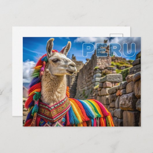Peru Llama Briefkaart (Voorkant / Achterkant)