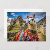 Peru Llama Briefkaart (Voorkant / Achterkant)
