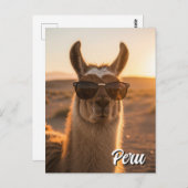 Peru Llama in zonnebril Briefkaart (Voorkant / Achterkant)
