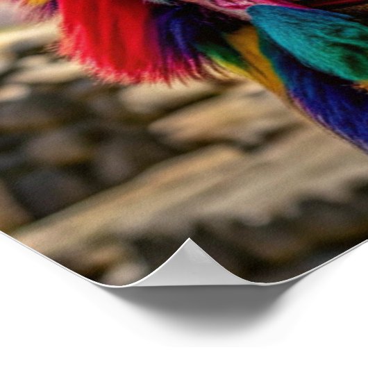 Peru Llama Poster (Hoek)