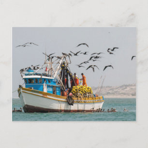 Peru, Los Organos. Gevist Boat in Los Organos Briefkaart