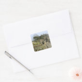Peru, Machu Picchu. De oude citadel van Vierkante Sticker (Envelop)